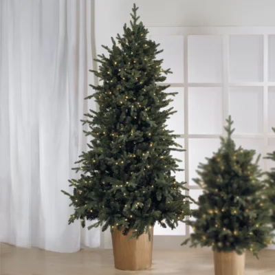 Alberi di Natale