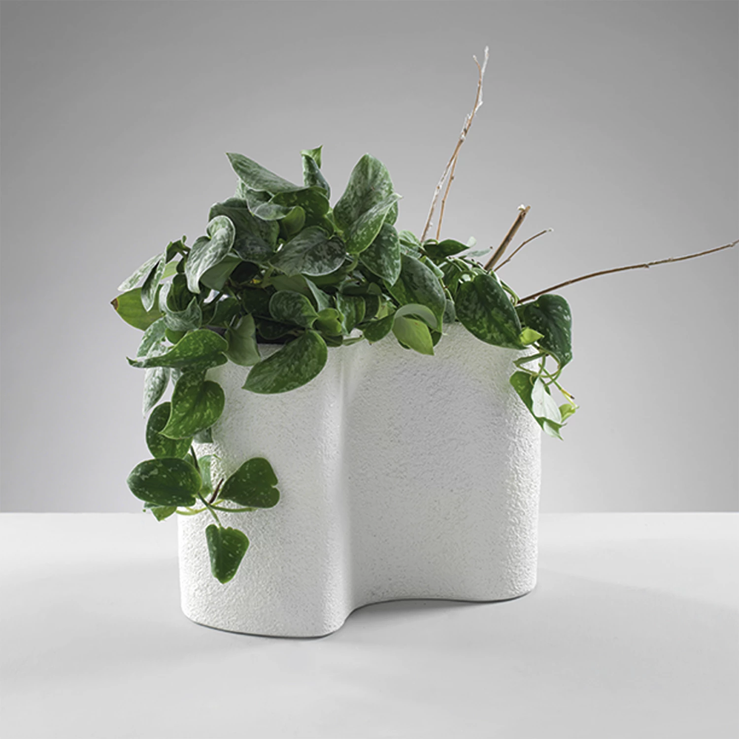 Vaso in resina H. 25 cm
