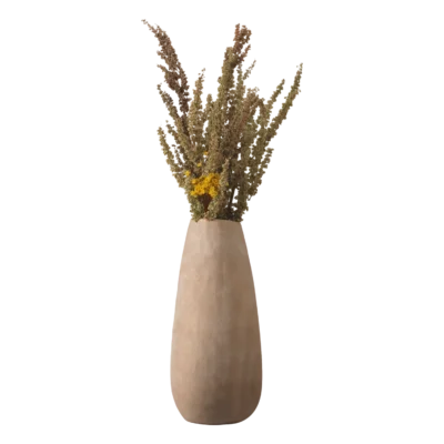 Vasi